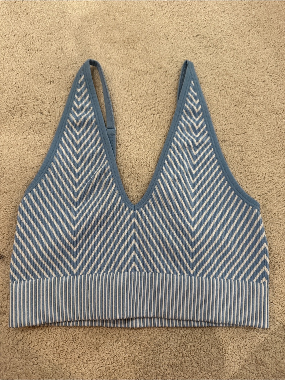 Garage Seamless Blue & White Striped V-Neck Bralette